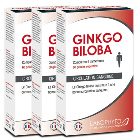 Ginkgo Biloba Cure de 3 mois